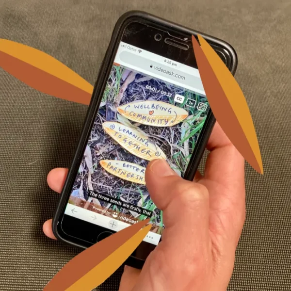 Case study: Planting the seeds for better health and wellbeing outcomes in South West Queensland