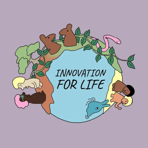 What is social innovation?
