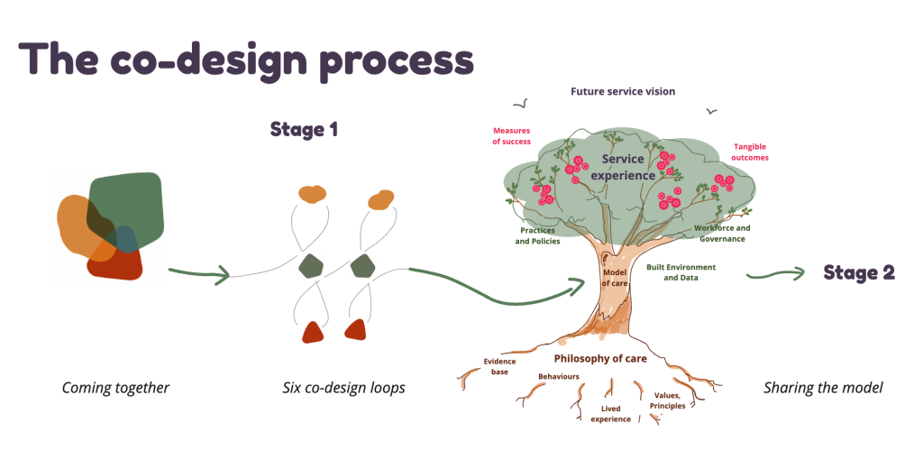 Diagram of the co-design process