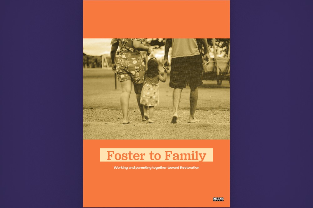 Tool 1: Why Foster to Family is different