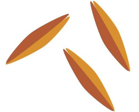 3 seeds