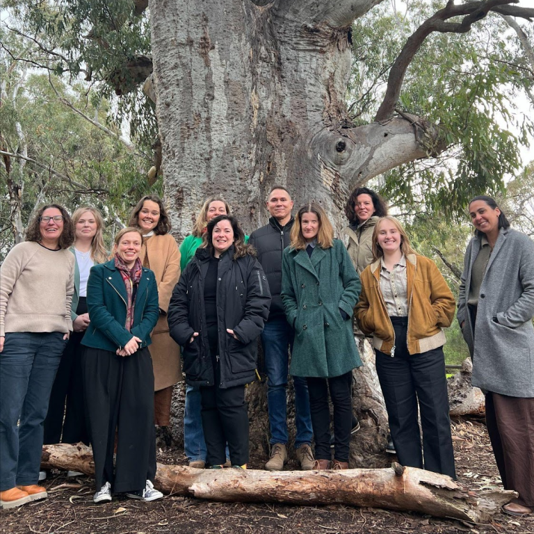 Case study: Our co‑design role in shaping the commissioning of a FDSV pilot in SA