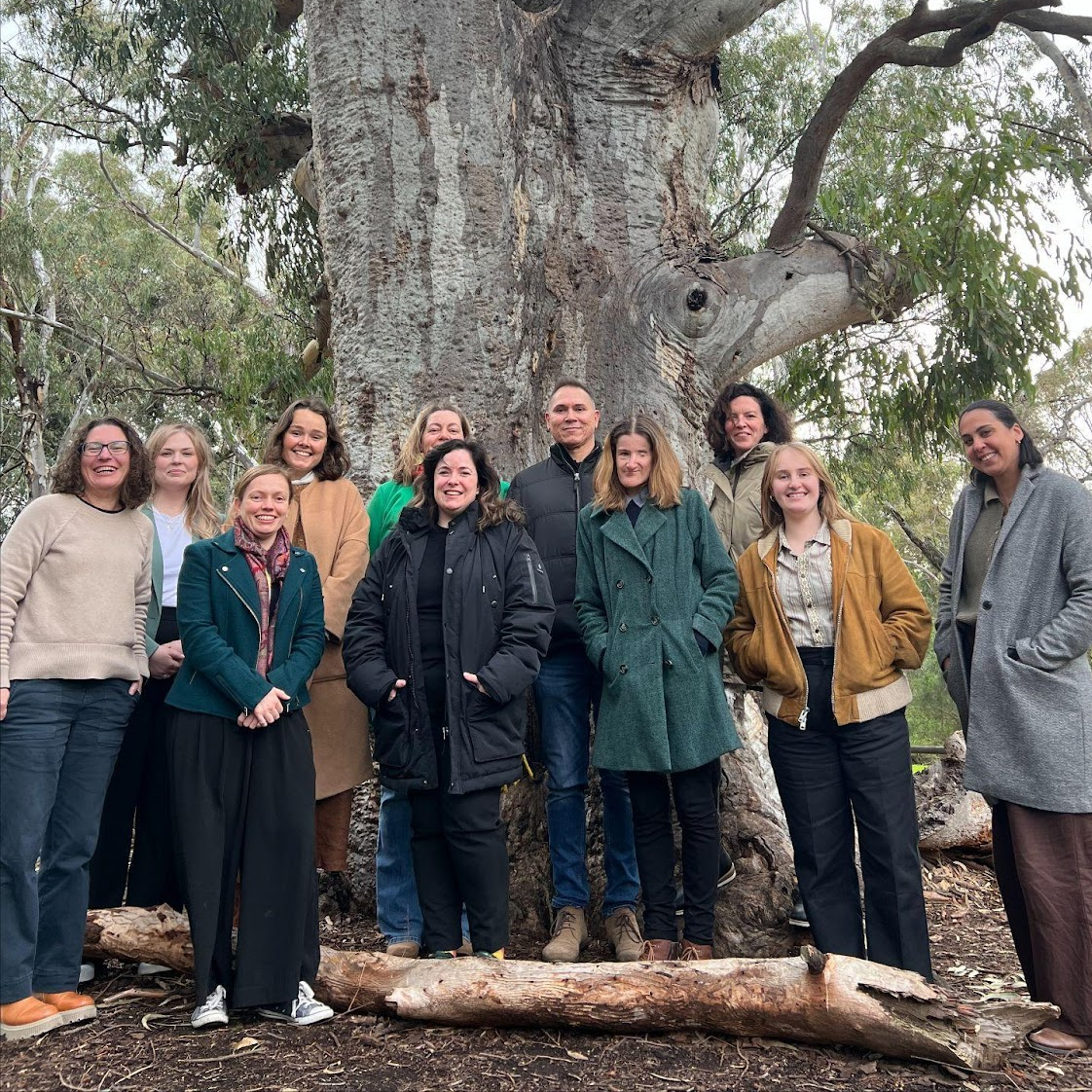 Case study: Our co‑design role in shaping the commissioning of a FDSV pilot in SA