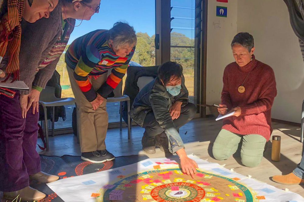 Case study: Catalysing regenerative capabilities in place
