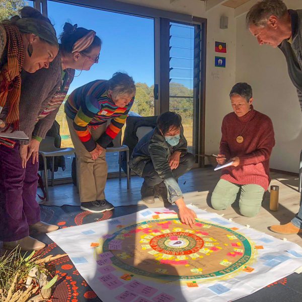 Case study: Catalysing regenerative capabilities in place