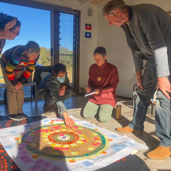 Catalysing regenerative capabilities in place
