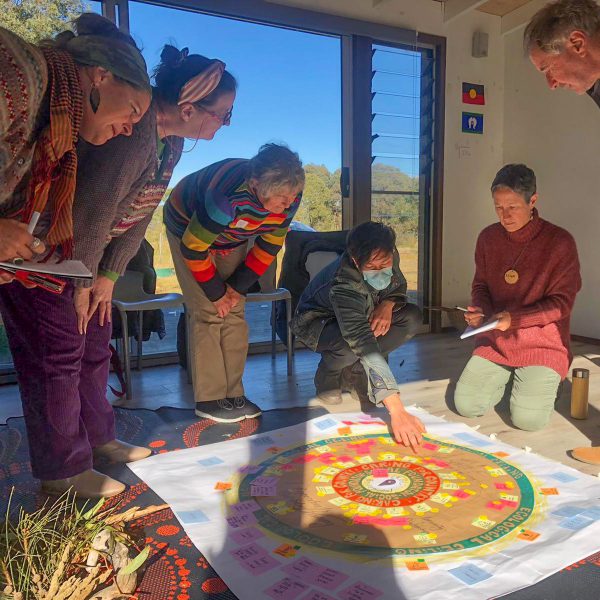 Catalysing regenerative capabilities in place