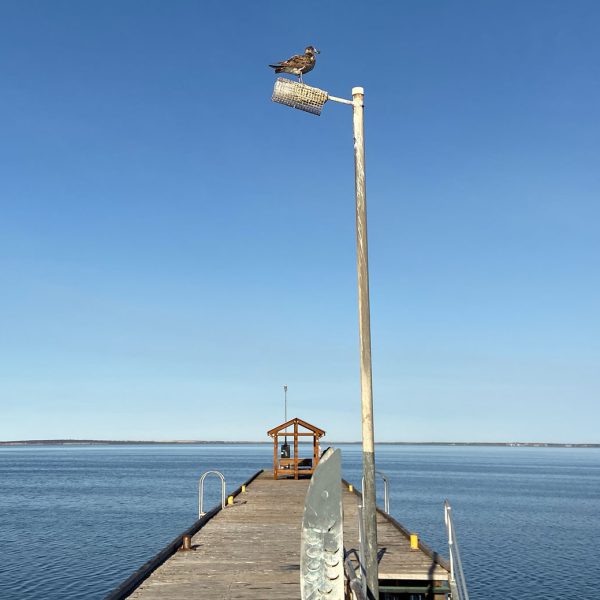 Photo of a Jetty